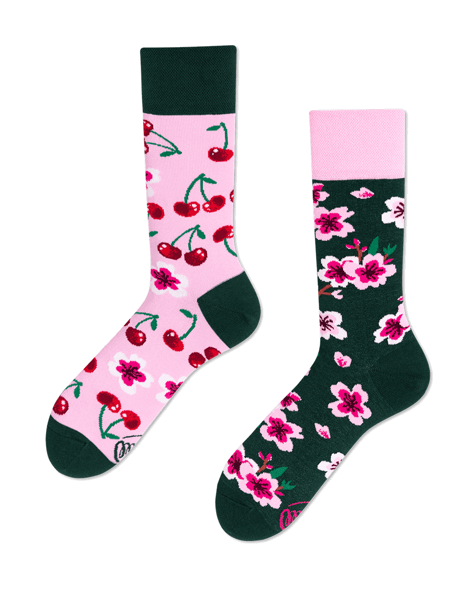 Cherry Blossom