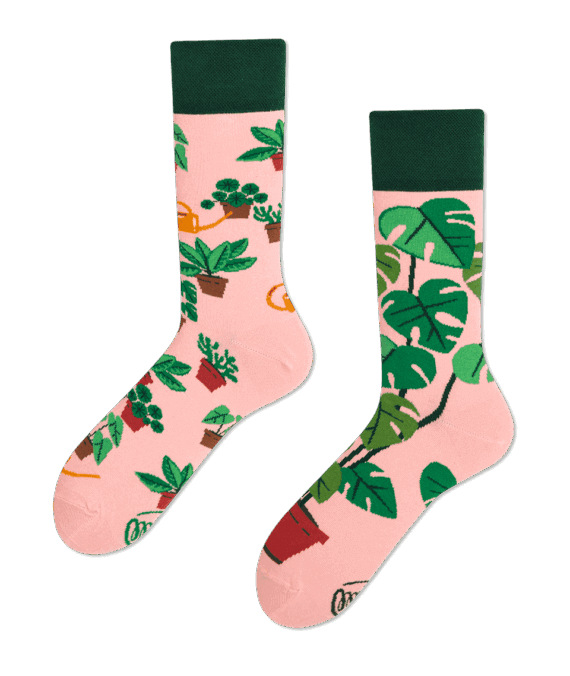 Plant Lover