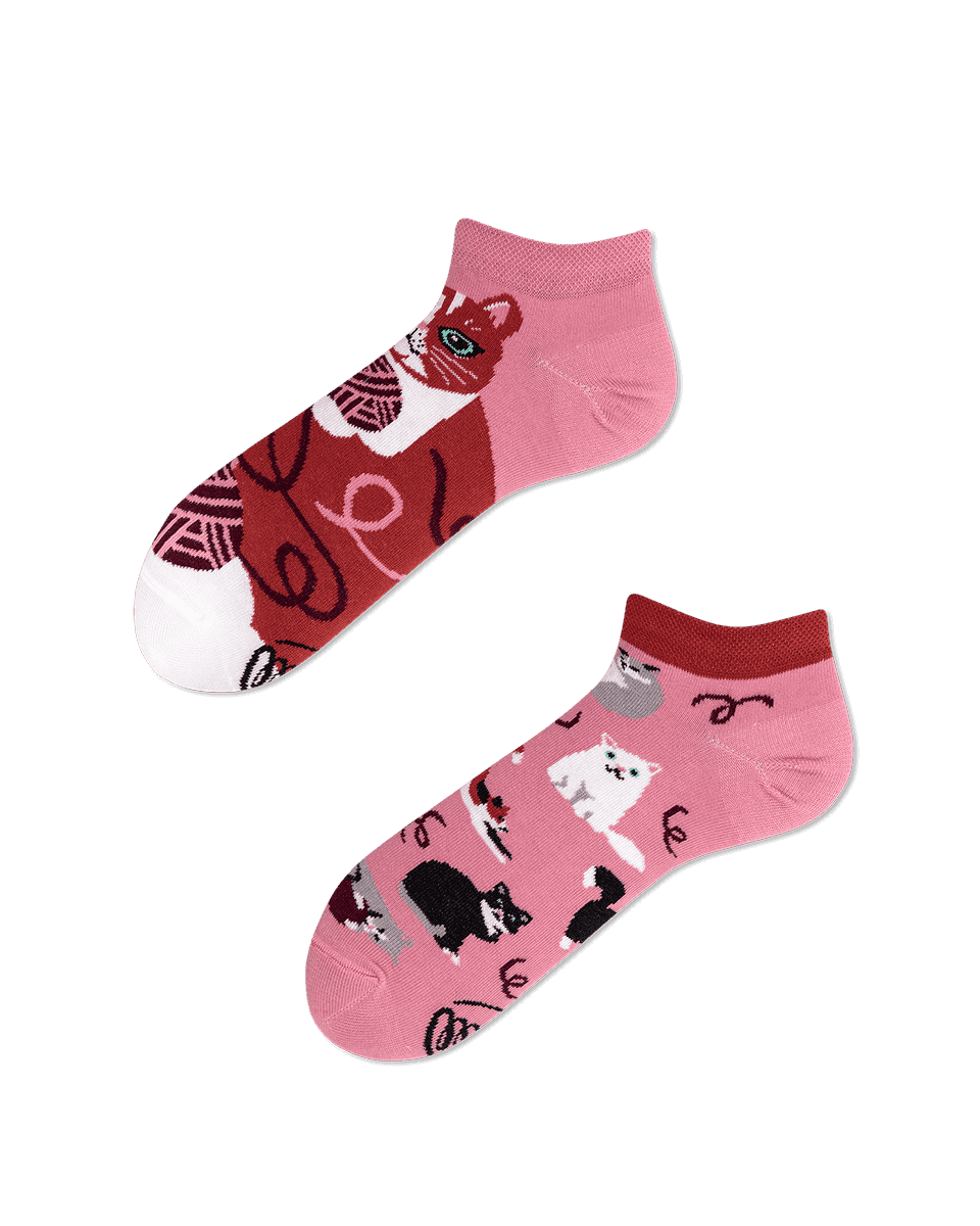 Playful Cat Low