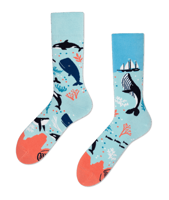 Ocean Life