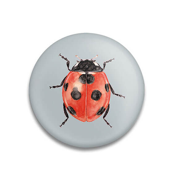 Decoratieve magneet Lucky Bug