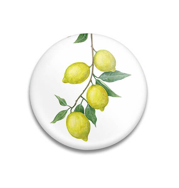 Decoratieve magneet Sunny Lemons