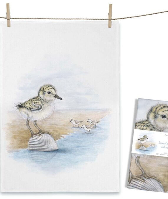 Theedoek Sandpiper’s Shell