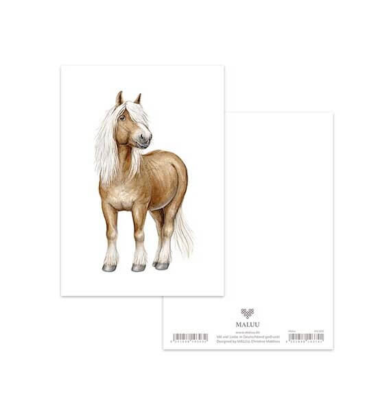 Ansichtkaart Gentle Horse