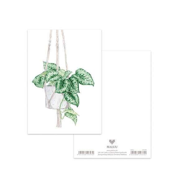 Ansichtkaart Hanging Plant