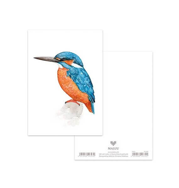 Ansichtkaart Kingfisher