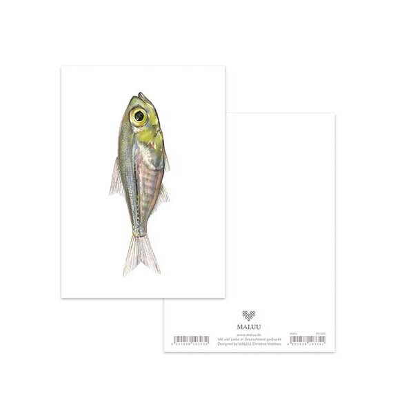 Ansichtkaart Little Fish