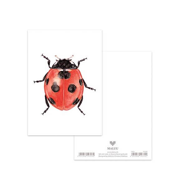 Ansichtkaart Lucky Bug