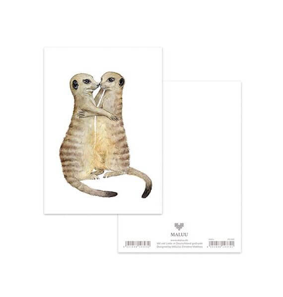 Ansichtkaart Meerkats