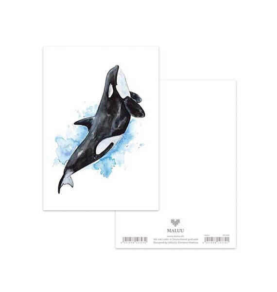Ansichtkaart Orca Splash