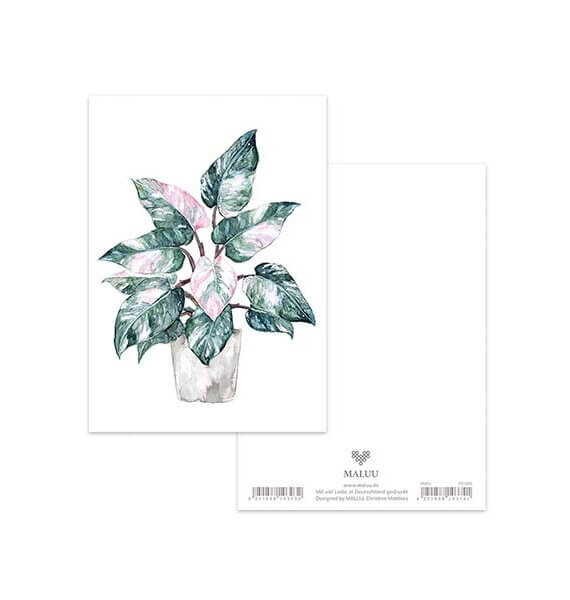 Ansichtkaart Philodendron