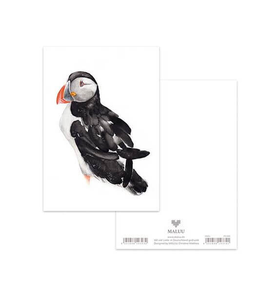 Ansichtkaart Puffin