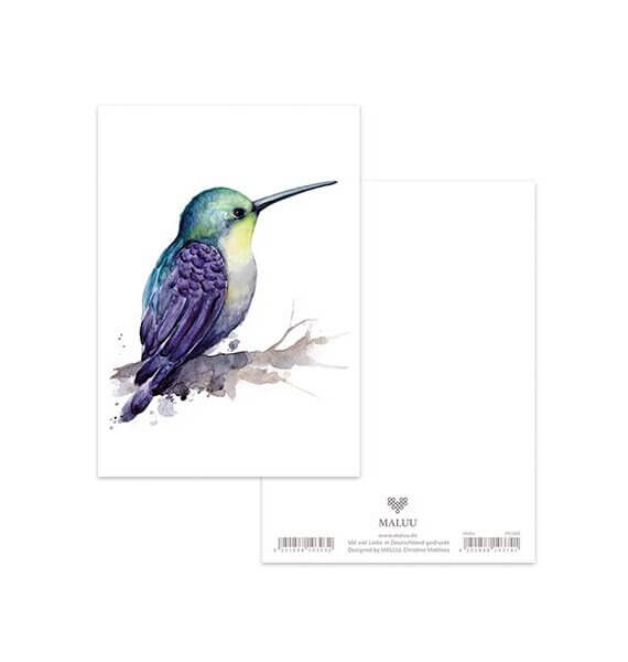 Ansichtkaart Rainbow Kolibri
