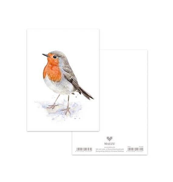 Ansichtkaart Robin Redbreast