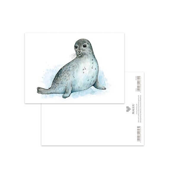 Ansichtkaart Sandy Seal