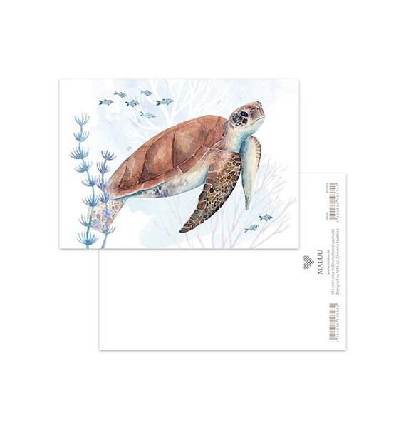 Ansichtkaart Sealife