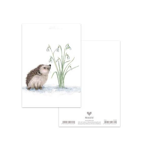 Ansichtkaart Snowdrop Hedgehog
