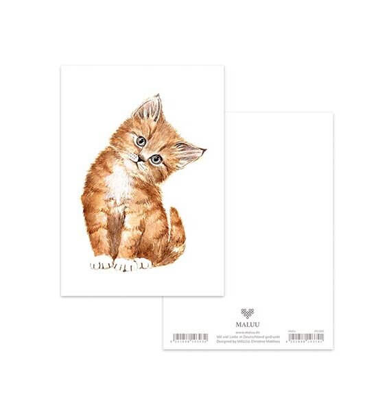 Ansichtkaart Sweet Kitty