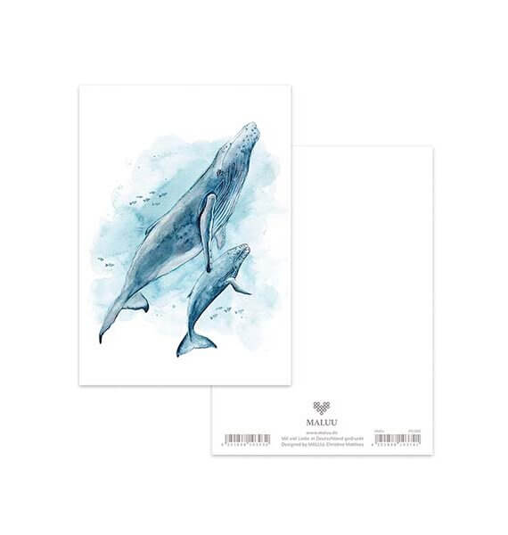 Ansichtkaart Whale Wonders