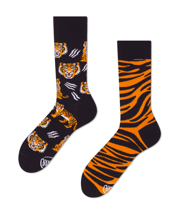 Feet Of The Tiger