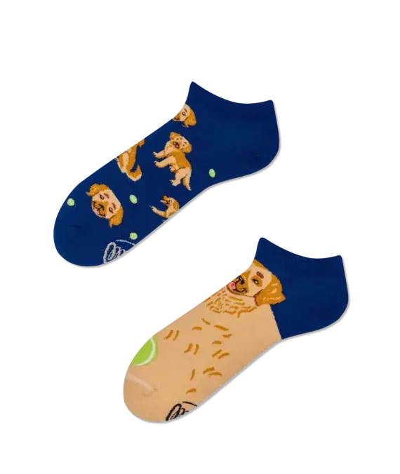 Golden Boy Low