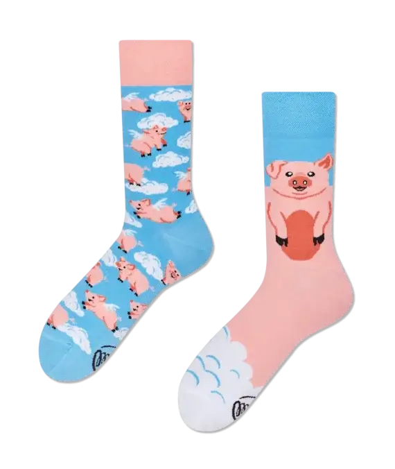 Piggy Dream