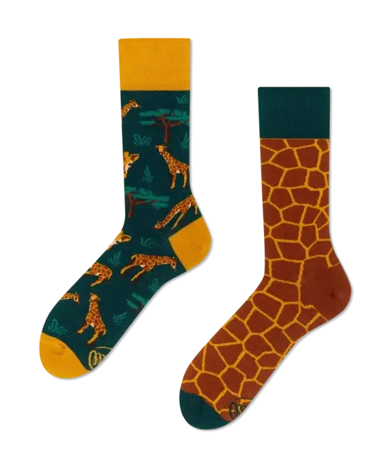 The Giraffe
