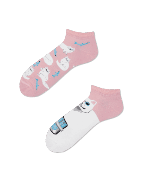 White Cat Low