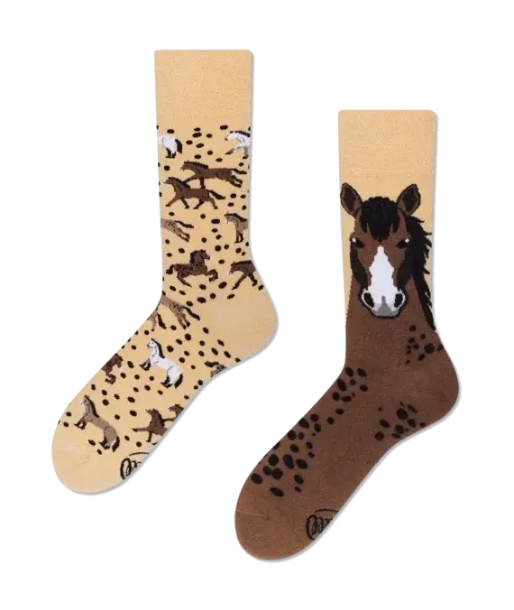 Wild Horse
