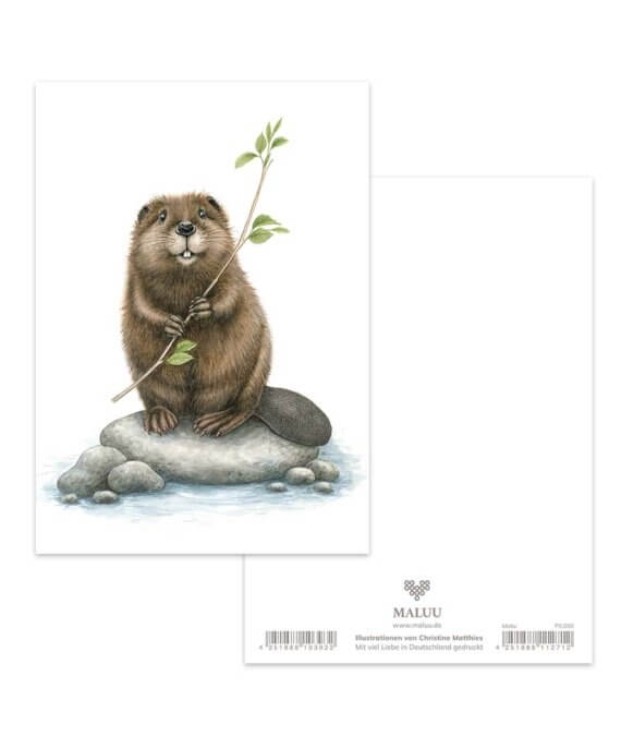 Ansichtkaart Busy Beaver