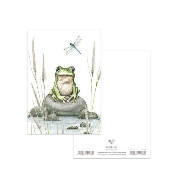 Ansichtkaart Green Frog