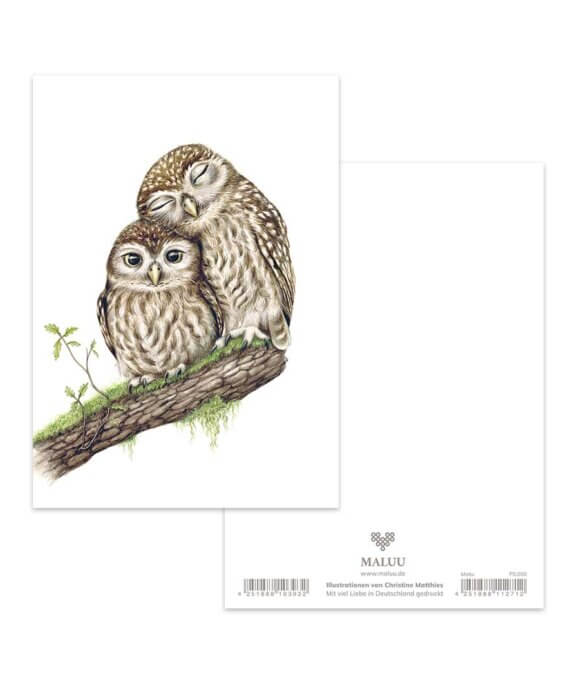 Ansichtkaart Snuggling Owls