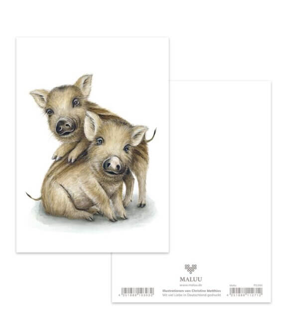 Ansichtkaart Wild Piggies